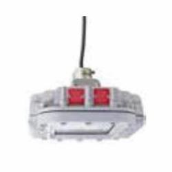 DIALIGHT HZCFC2N SAFE SITE AREA LIGHT
