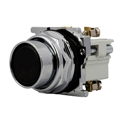 C-H 10250T30B FLUSH PB BK 1NO 1NC