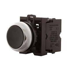 C-H M22M-D-S NON-ILL MOM PB METAL-BZL FLSH BL