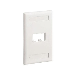 PANDUIT CFPL2IWY FACEPLATE 2 PORT SINGLE