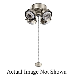 KICHLER 350210SNB 4 LIGHT TURTLE FITTER LED