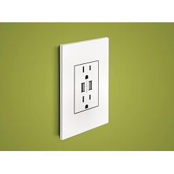P&S AWP1G2PW4 MATTE WH 1G/2MOD WALL PLATE