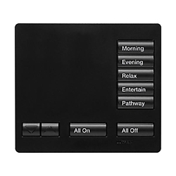 LUTRON RR-T5RL-MN RADIORA 2 TABLETOP DESIG