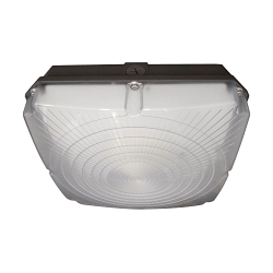 SATCO 65-141 LED CANOPY FIXTURE 40W 5000K 120-27