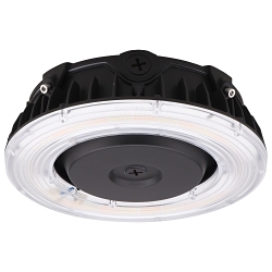 SATCO 65-624R1 LED CANOPY FIXTURE 25 WATT C