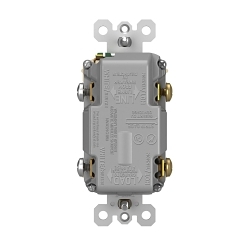P&S 1597TRUSBACI SELF-TEST GFCI RECEP TR