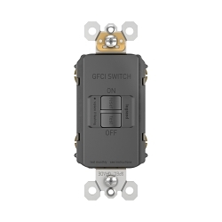 P&S RWP262BK RADIANT SCREWLESS WALLPLATE 2G B