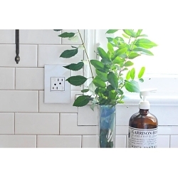 P&S AGFTR2152-W4 TAMPER-RESISTANT GFCI 15