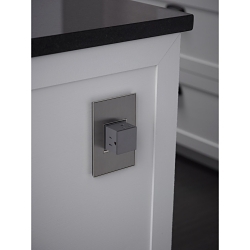 P&S AWM1G2-MS4 BRUSH STAINLESS 1G 2MOD WP