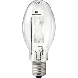 PHIL 27661-8 MS250/BU/PS 12PK