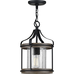 PROG P500234-031 1-100W  MED PENDANT