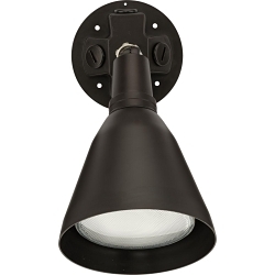 PROG P5202-20 1-150W ADJ  MED WALL FL