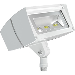 RAB FFLED18W FUTURE FLOOD 18W COOL LED 120V