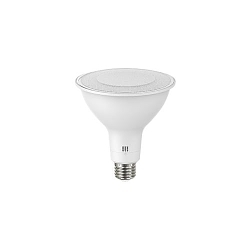 RAB PAR38FA-19-9CCT-40D-DIM