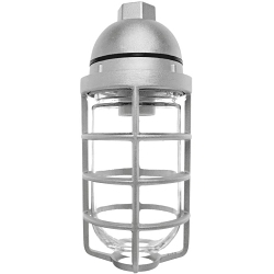 RAB VP100DG  VAPORPROOF  100 PENDANT 1/2-IN WITH GLASS GLOBE CAST GUARD