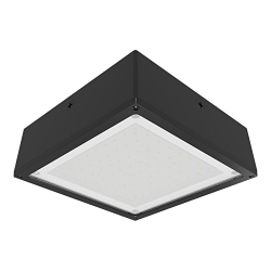 RAB VANLED65NFFR  VANLED  65W 4000K FLAT FROSTED LENS 120-277V 0-10V BRON