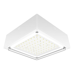 RAB VANLED40W  VANLED 40 W 5000K DROP CLEAR LENS