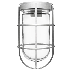 RAB VC100G VAPORPROOF 100 CEILING WITH GLASS G