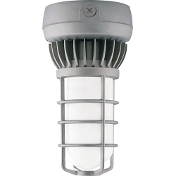 RAB VXLED13DG VAPORPROO F LED 13W CEILING FROSTED GL GLOBE DIECAST GD