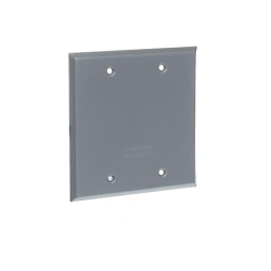 R-DOT 2CCB TWO GANG BLANK CVR