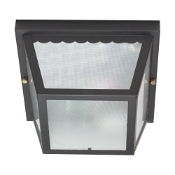 SATCO 60-473 2 LIGHT 10-IN. CARPORT FLUSH MOU