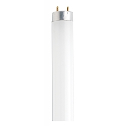 SATCO S26516 18 WATT T8 30-INCH COOL WHITE FLUOR