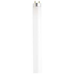 SATCO S6537 32 WATT T8 FLUORESCENT 4100K COOL W
