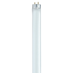 SATCO S8433 17 WATT T8 FLUORESCENT 6500K DAYLIG