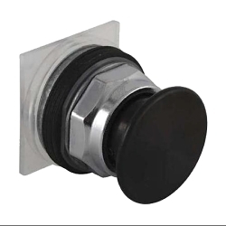 SQD 9001KR24BM MOMENTARY PUSH BUTTON