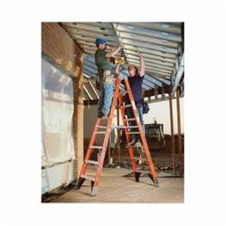WERNER T7406 6-FT FG TWIN STEP LDR IAA