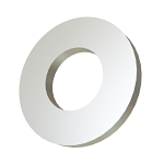 CALBRITE S60200WA00 1/4 SS316 FLAT WSH
