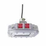 DIALIGHT HZCFC2N SAFE SITE AREA LIGHT
