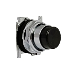 C-H 10250T111 EXTD PB BK