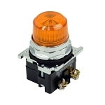 C-H 10250T197L INDICATING LGT FV(ORDER