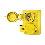 ARROW-HART 60W33DPLX RECP DUPLEX WT 20A 125V