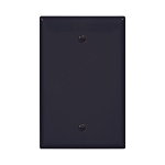 EAGLE PJ13BK WALLPLATE 1G BLANK BOX MOUNT POLY
