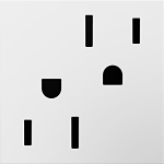 P&S ARTR152-W4 2-MODULE TAMPER-RESISTANT OUTLET