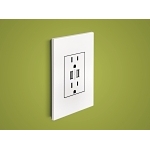 P&S AWP2GPW4 MATTE WH 2G WALL PLATE