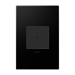 P&S WNAL10G1 ADORNE NETATMO SWITCH G