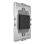 P&S WNAL63G1 ADORNE NETATMO WIRELESS DIMMER