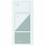 LUTRON PJ2-2BRL-GWG-L01 2-BUTTON WITH RAISE/LOWE