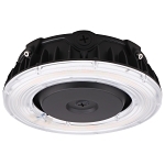 SATCO 65-626R1 LED CANOPY FIXTURE 40 WATT C