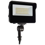 SATCO 65-541 LED TEMPERED GLASS FLOOD LIG
