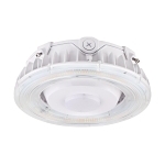 SATCO 65-631 LED CANOPY FIXTURE 100 WATT CCT SEL