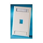 ORTRONICS KSFP1 FP KEYST ONE 1HOLE SG LBL DESG FO