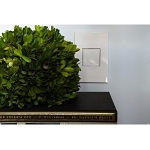 P&S ARPTR151GW2 WHITE POPOUT TRIPLEX OUTLET KI