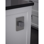 P&S AWM1G2-MS4 BRUSH STAINLESS 1G 2MOD WP