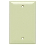P&S SP13-I PLATE PLASTIC 1G BLNK W/OUT LI