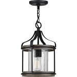 PROG P500234-031 1-100W  MED PENDANT