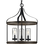 PROG P500235-031 3-60W C AND PENDANT